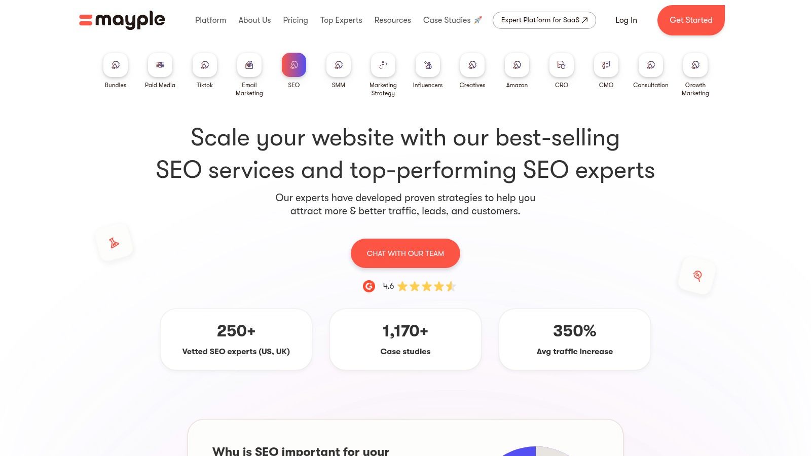 Mayple's SEO packages and pricing interface