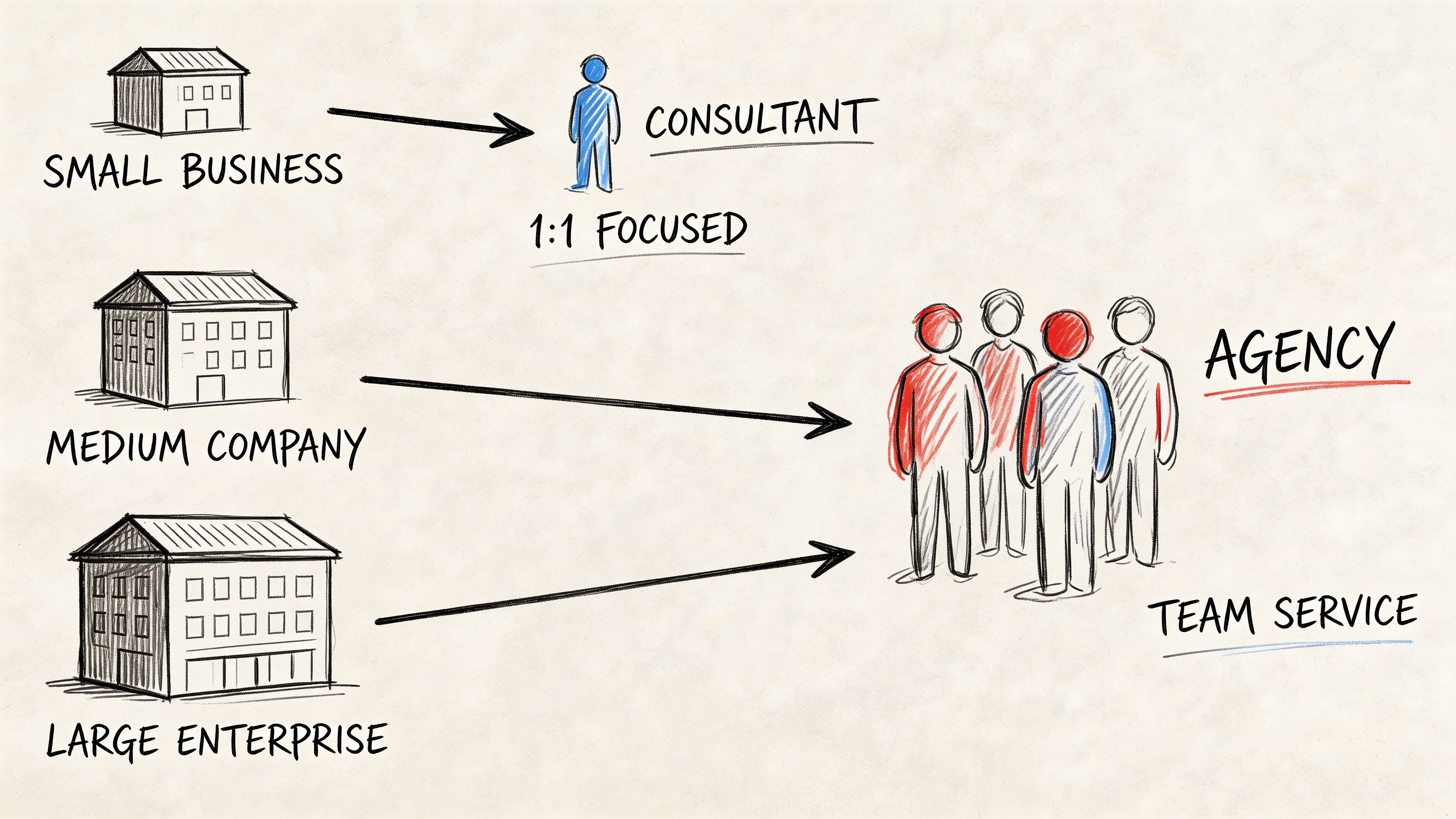 A diagram comparing business models with a single consultant for small businesses and an agency for larger companies.